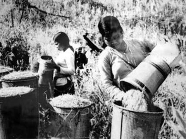 Đường Hồ Chí Minh